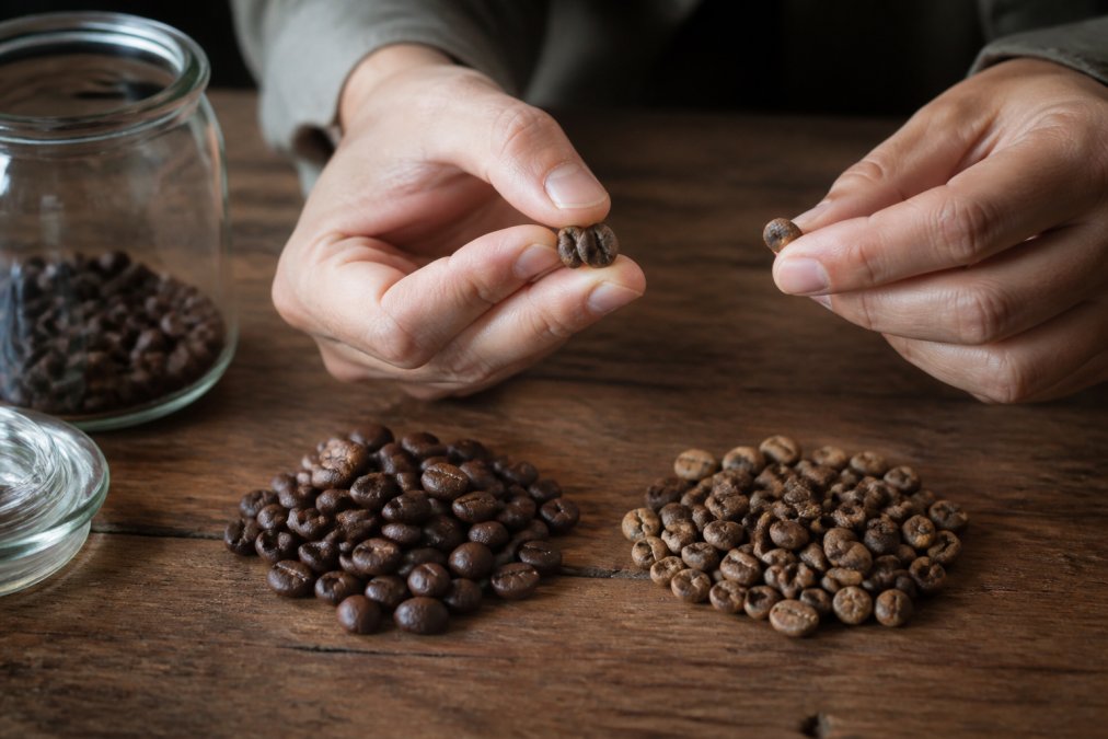 How to Tell if Coffee Beans Are Expired