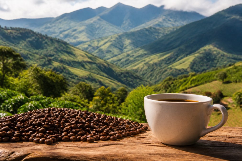 Is Colombian Coffee the Best? A 2026 Guide