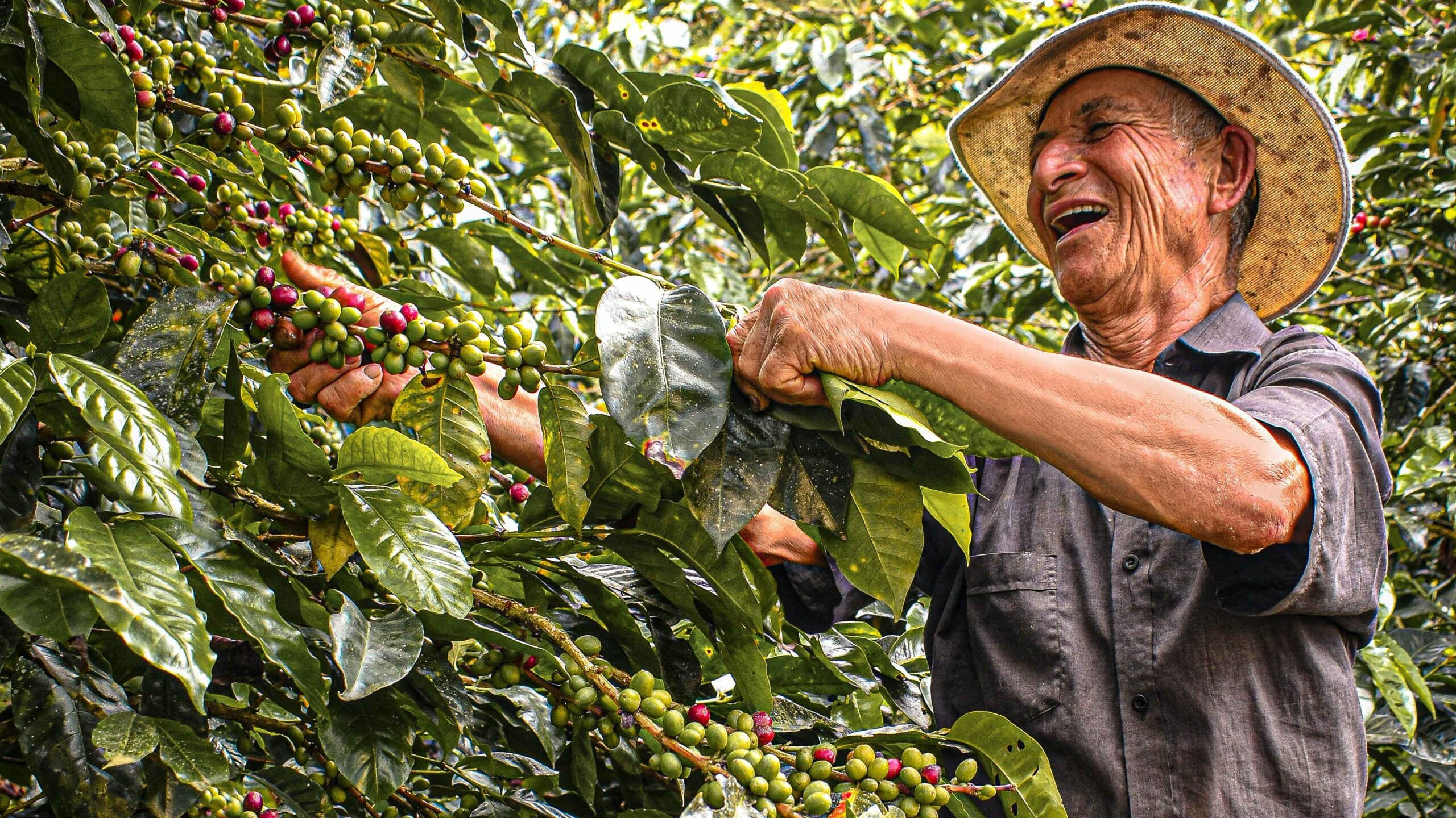 Colombian Farmer